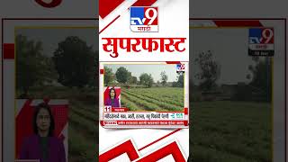 36 Jilhe 50 Batmya | 36 जिल्हे 50 बातम्या | 10 January 2025 | Marathi News | tv9 marathi