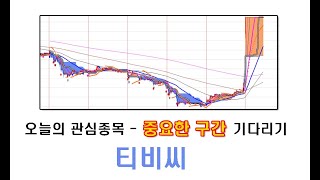 장기투자/관심종목/티비씨/상한가종목