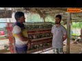 ৫০০ কোয়েল পাখির লাভ লস এর হিসাব koyel pakhi palon koyel pakhi quail bird farming in bangladesh