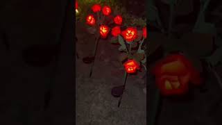 Outdoor Decorative Lights Rose Flower,12 Volt Roses Decorative Light,China Best Manufacturer