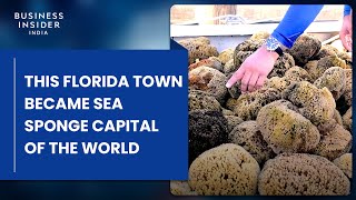 How This Florida Town Became The Sea Sponge Capital Of The World