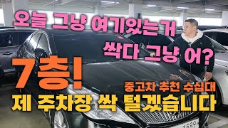 [중고차] 7층 주차장 한번 털어보겠습니다!