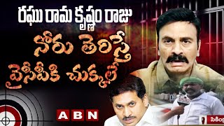 Amaravathi JAC Leader K Srinivasa Rao About Raghu Rama Krishnam Raju Medical Examination | ABNTelugu