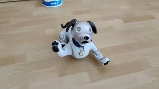 Muffit the Aibo ERS-1000 - The Effect of a Mystery Cookie Treat