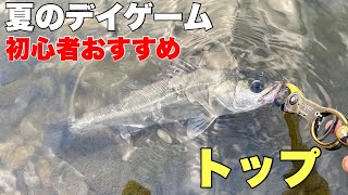 全然釣れない時に釣れるトップでシーバス釣ってみた