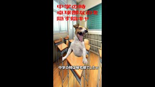 中学の時卓球部だったのを隠す陰キャ