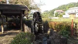 調布市野川公園