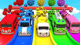 The Bus Song - Baby Shark - Colorful Round Ball Rolling - Eternity Five Nursery Rhymes \u0026 Kids Songs