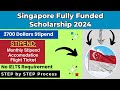 Singapore Fully funded scholarship 2024-2025-How to apply in Singapore scholarship-#SINGASCHOLARSHIP