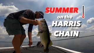 HOW to catch GIANT Harris chain BASS in the SUMMER! *93 degree water!*