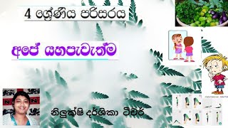 4  පළමුවන පාඩම අපේ යහපැවැත්ම LESSON 01 #GRADE04 APE YAHAPAWATHMA scholarship exam.4 ශ්‍රේණිය