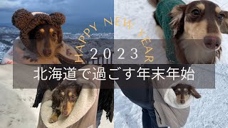 北海道・小樽｜愛犬と過ごす年末年始【グランドパーク小樽】