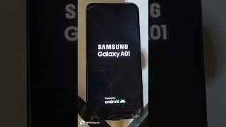 SAMSUNG Galaxy A01