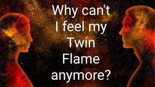 Why can't I feel my Twin Flame anymore? 🤔