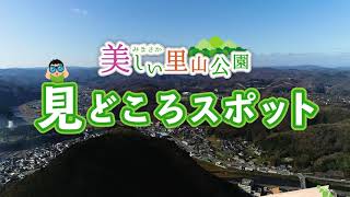 美しい里山公園 見どころスポット 藤乃森編