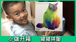 小雄开箱-猫猫拼图