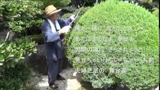 夫婦芝居　芦屋雁之助　歌唱　白龍