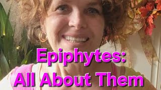 Epiphytes: All About Them