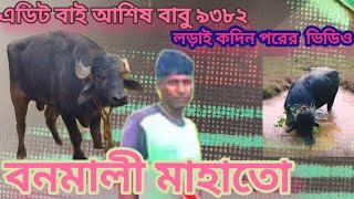 ভরত সিং কাড়াকে পরাজয় করার বাদে ৪ দিন পর কি অবস্থা হল দেখুন