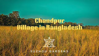 Chandpur Tour || Village in Bangladesh 2025