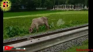 During the journey Rajarhat to Teesta road running || ভ্রমণের সময় রাজারহাট টু তিস্তারোড চলছি