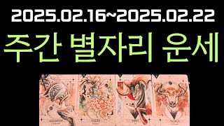 [타로/별자리] 25.02.16~25.02.22 주간 별자리 운세