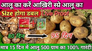 आलू की आख़िरी स्प्रे Last spary in potato for more yeild #potatofarming #aloo #pgr #boron