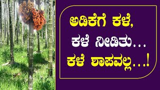 ಕೋಟೆ ನಾಡಲ್ಲಿ ಅಡಿಕೆಯ ದಾಹ ಈಡೇರಿಸಿದ ದ್ರಾವಣ | Special liquid for areca nut farm