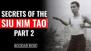 Wing Chun Tips - Siu Nim Tao Secrets | Part 2