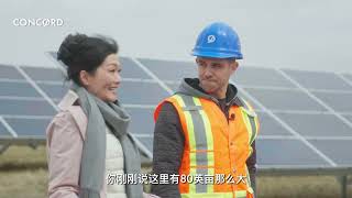 Concord Green Energy加拿大安省绿色能源！探访风力和太阳能发电场！中文版/Toronto Concord