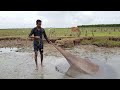 বঙ্গোপসাগরের মোহনায় চরের গর্তে মাছ ধরলাম great fishing moment