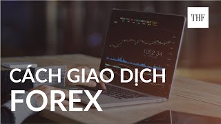 Ep 02: Cách giao dịch trong thị trường ngoại hối | Nhập môn đầu tư Forex | | The Hunter Forex | THF