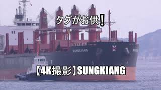 タグがお供❕【4K撮影】SUNGKIANG