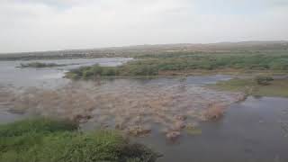 Bhimnath Mahadev - Kotda, Kutch | waterbody behind Bhimnath Mahadev