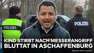 ASCHAFFENBURG: Messerattacke in Park! Kind stirbt nach Angriff - Polizei fasst Verdächtigen