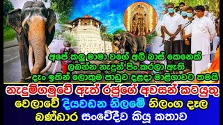 Diyawadana Nilame | Nilanga Dela Bandara's | emotional speech | at the funeral of | Nadungamuwe Raja