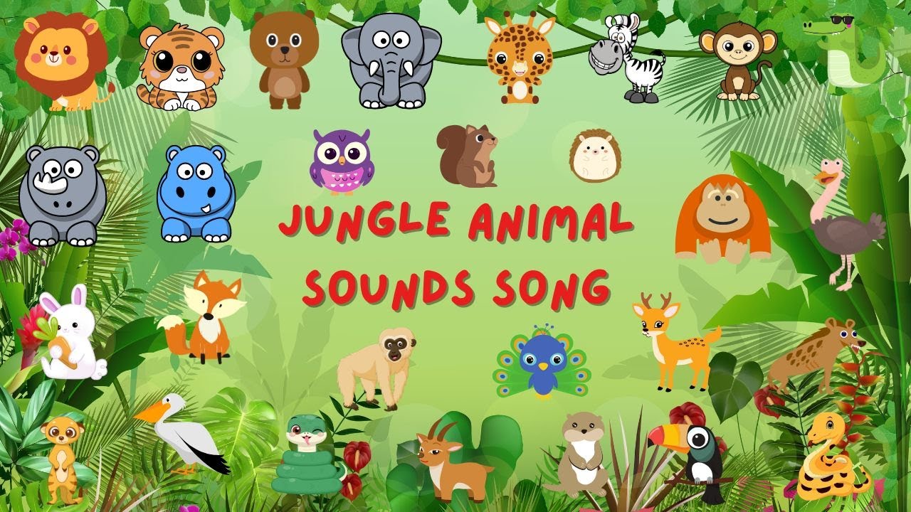 Jungle Animal Sounds Song N5t12 Nursery Rhymes Kids Tv Education