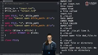 COMP2041/COMP9041 - Input and Output in Perl