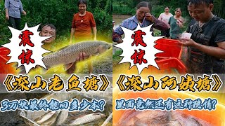 花1200元包下阿姨大山里面的鱼塘，里面到底有多少鱼？｜阿姨为什么着急把鱼塘卖掉，到底有着什么样的隐情？｜#户外抓鱼 #户外捕鱼 #大表哥抓鱼 #乡村生活 #农村生活