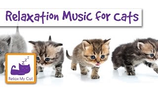 Relaxation Music for Your Cat or Kitten