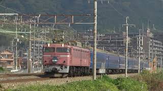 4002レ　日本海　EF81-106牽引(2009-11-21)