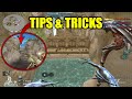 CrossFire: Treasure Island - Tips & Tricks