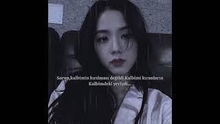 Akım yapalım plzzzz #jisoo #rose #jennie #lisa #blackpink #shorts #keşfet