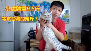 台灣1斤16兩，大陸一斤10兩，相差那麼大有何不同？16 taels per catty in Taiwan, 10 taels per catty in China【我是杰少】