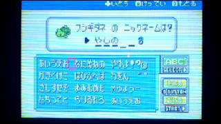 #1[改造ポケモン]ポケットモンスターアクアブルー実況プレイ！