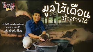 อีสานพัฒนา มูลไส้เดือนสร้างรายได้ | ทำปุ๋ยไว้ใช้เองเพื่อลดต้นทุน แต่กลับสร้างรายได้หลักหมื่นต่อเดือน