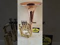 New Edition:John Packer 172 Lacquer + Rose Bell Alto Horn- Intermediate!