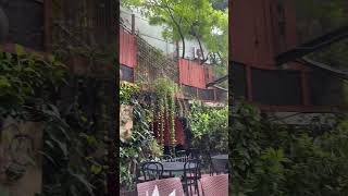 Beautiful Restaurant Soi7 at Dhanmondi Road 7