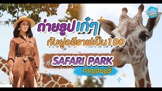 Onedayspecial [New] EP7.ถ่ายรูปเก๋ๆ กับฝูงยีราฟเป็น 100  ที่ SAFARI PARK กาญจนบุรี