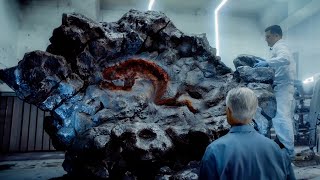 【穷电影】神秘陨石坠落地球，陨石上竟有人的痕迹，人类作死研究引发末日